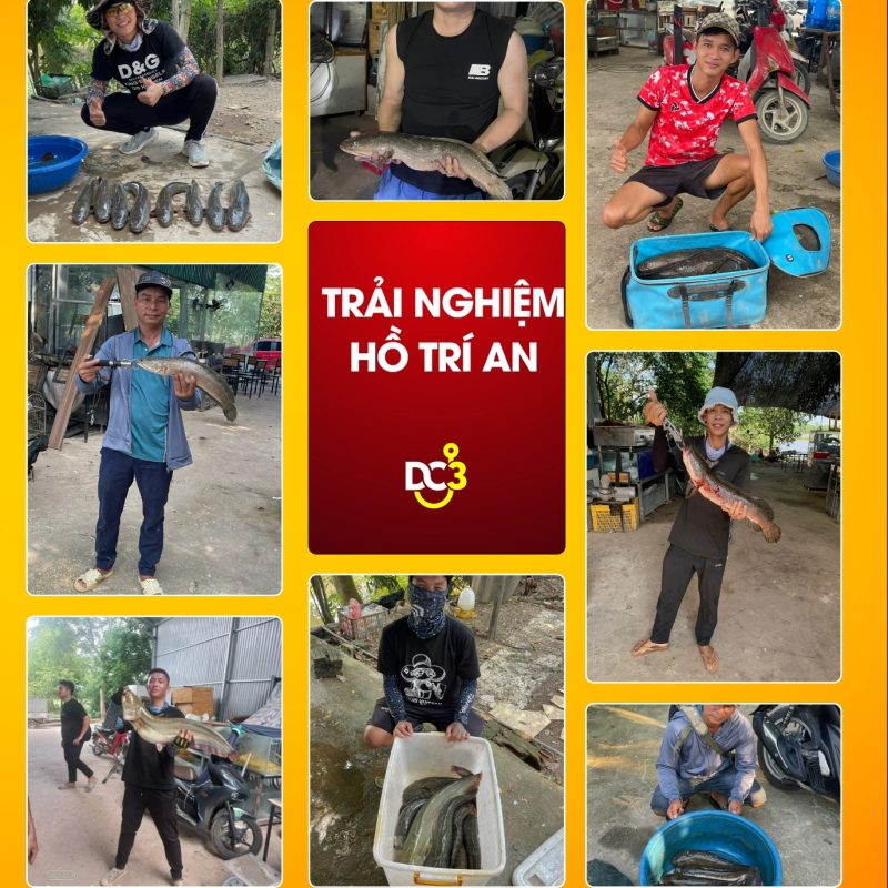 Trải nghiệm cần thủ hồ câu Trí An