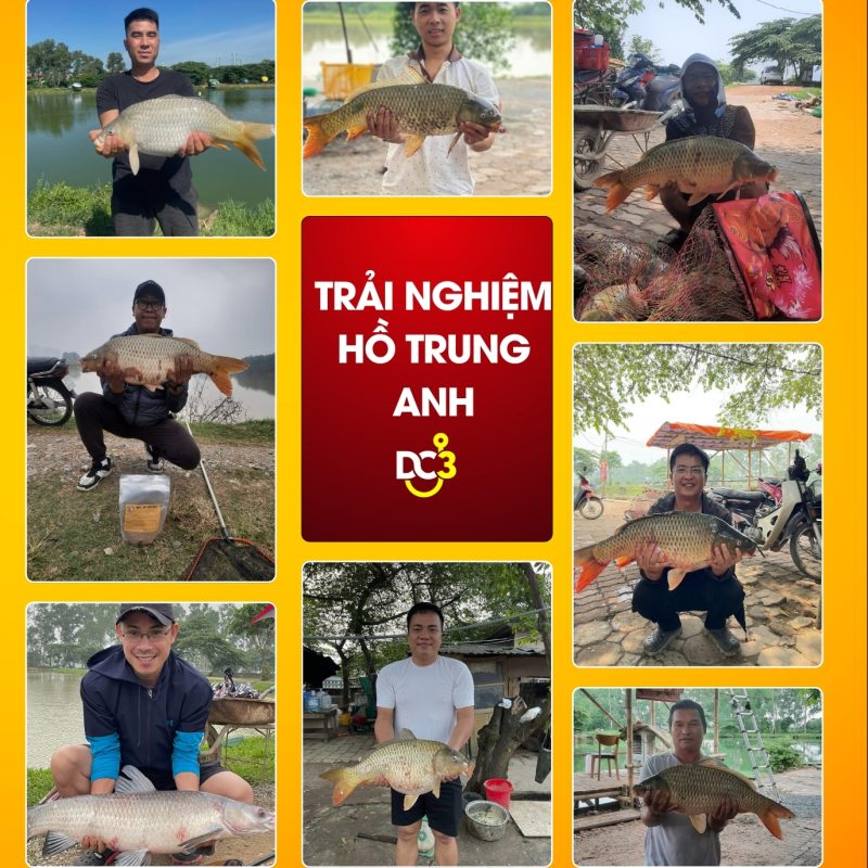 Trải nghiệm cần thủ hồ câu Trung Anh