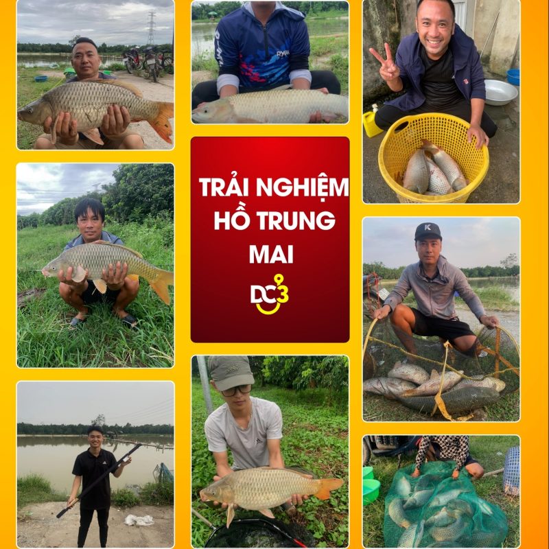 Trải nghiệm cần thủ hồ câu Trung Mai