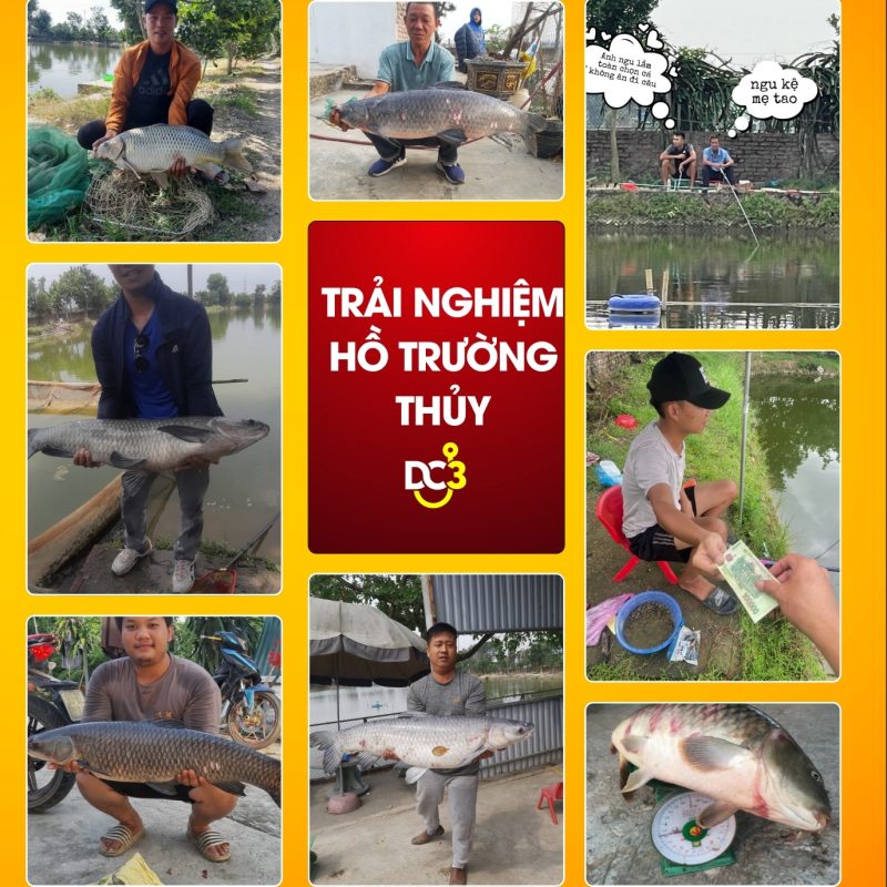 Trải nghiệm cần thủ hồ câu Trường Thủy