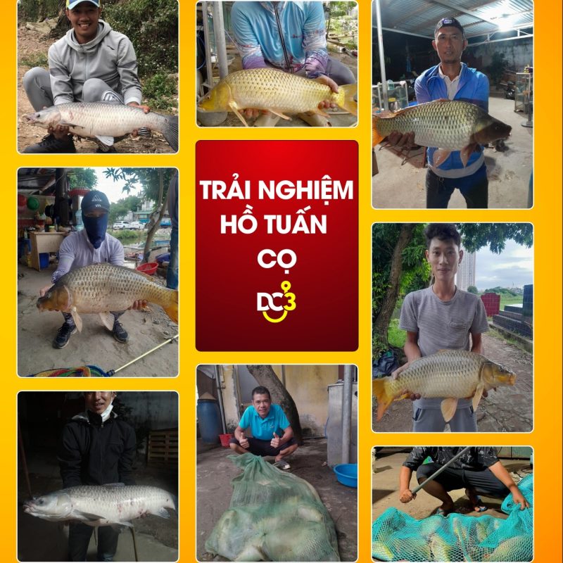 Trải nghiệm cần thủ hồ câu Tuấn Cọ