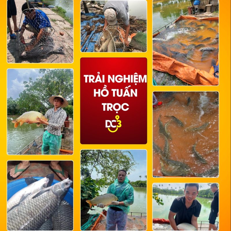 Trải nghiệm cần thủ hồ câu Tuấn Trọc