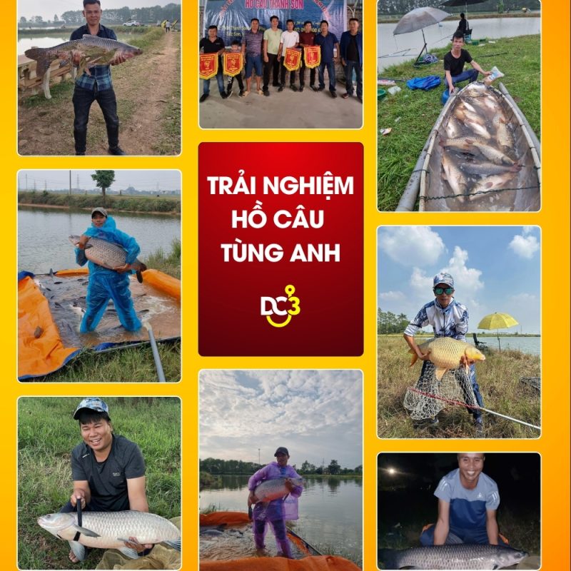 Trải nghiệm cần thủ hồ câu Tùng Anh