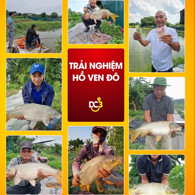 Trải nghiệm cần thủ hồ câu Ven Đô