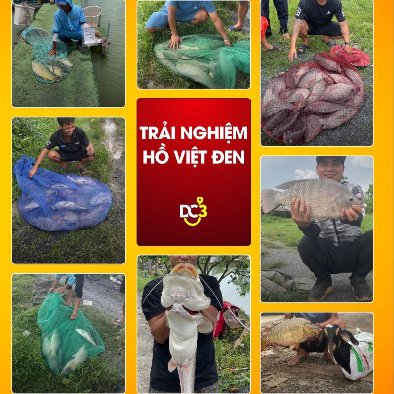 Trải nghiệm cần thủ hồ câu Việt Đen
