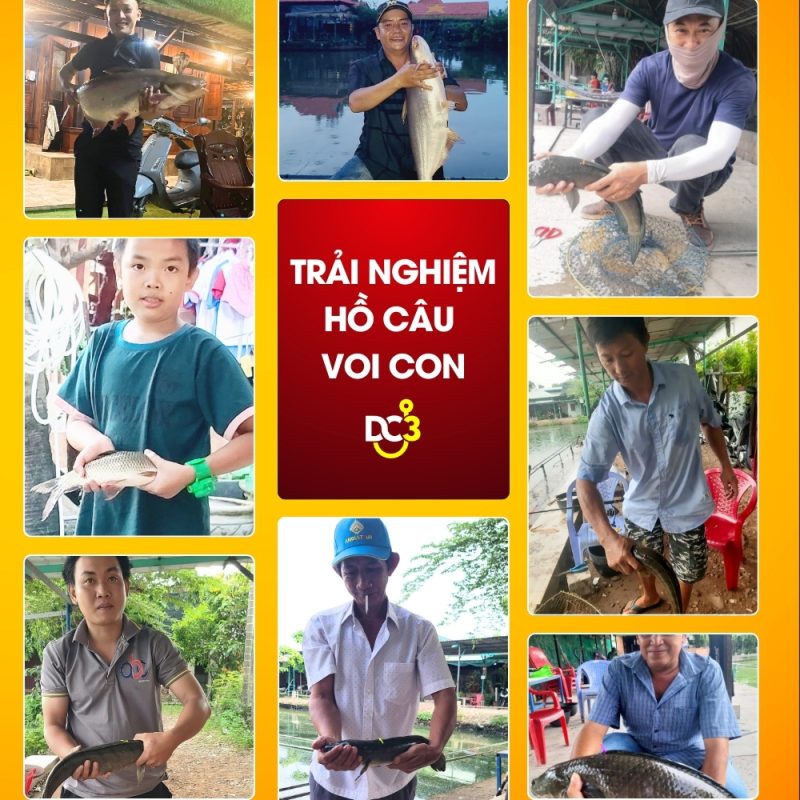 Trải nghiệm cần thủ hồ câu Voi Con