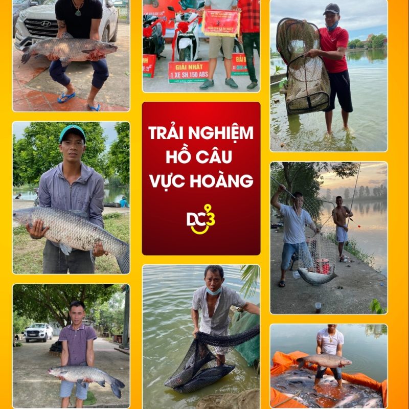 Trải nghiệm cần thủ hồ câu Vực Hoàng