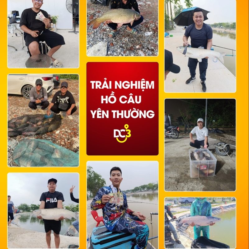Trải nghiệm cần thủ hồ câu Yên Thường