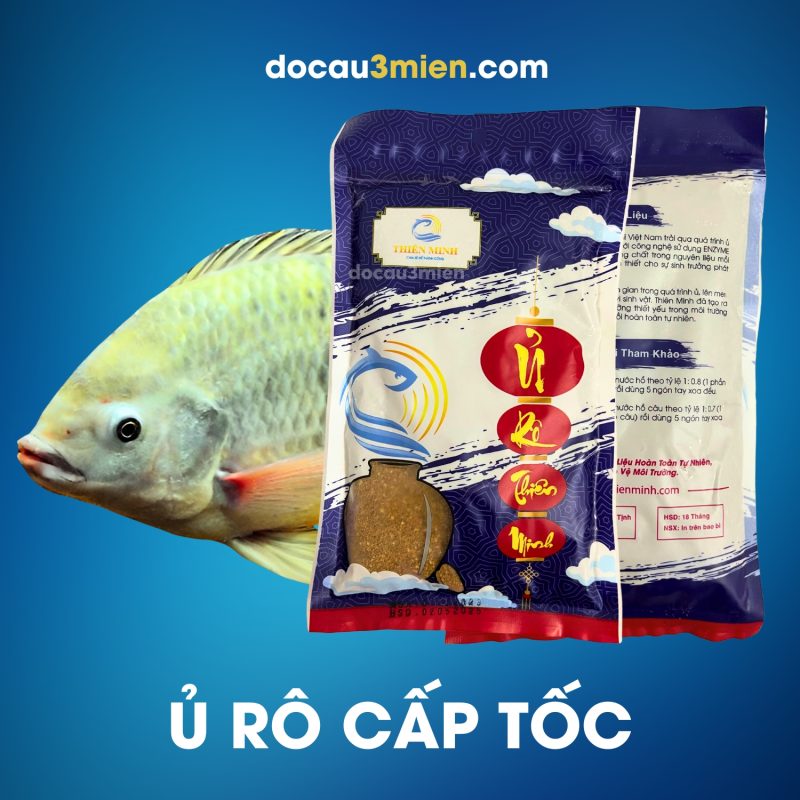 Ủ mồi cấp tốc với mồi câu Rô Thiên Minh