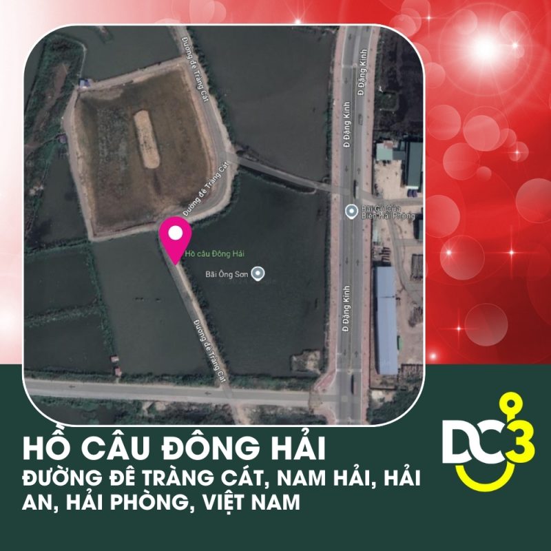 Vị trí Google Map - Hồ câu Đông Hải