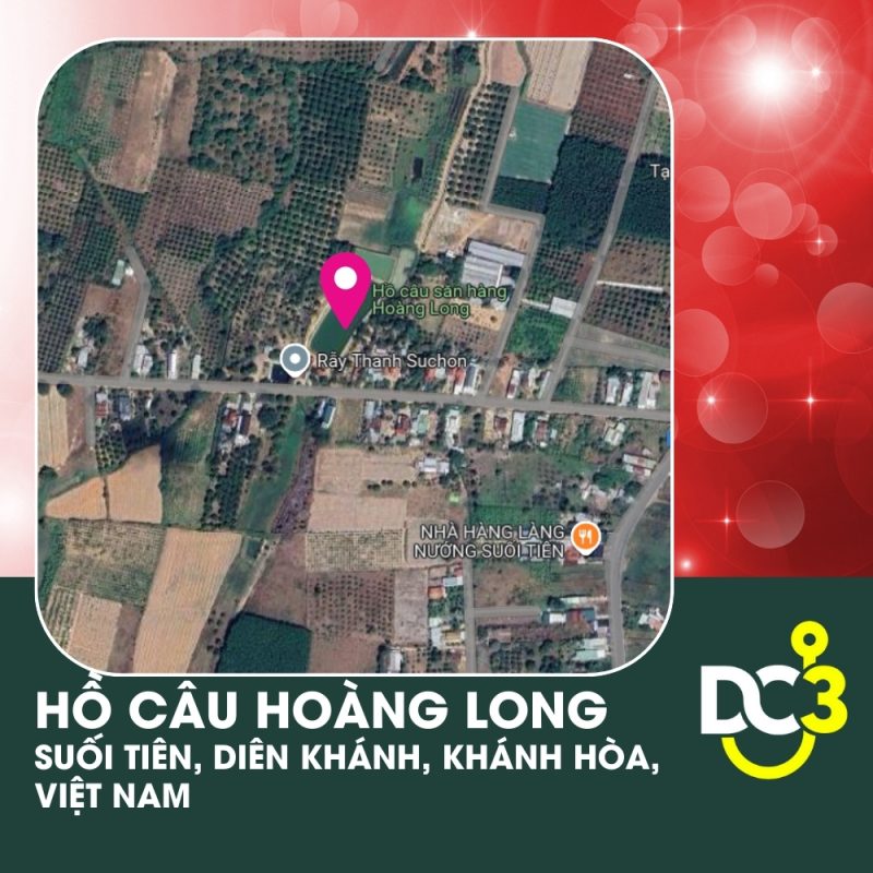 Vị trí Google Map - Hồ câu Hoàng Long