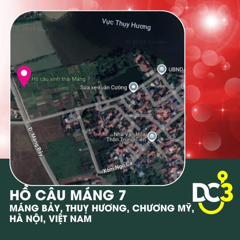 Vị trí Google Map - Hồ câu Máng 7