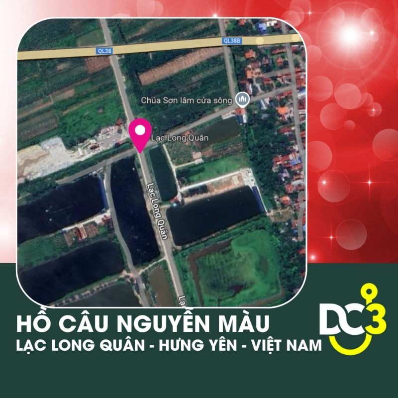 Vị trí Google Map - Hồ câu Nguyễn Màu