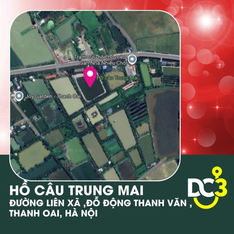 Vị trí Google Map - Hồ câu Trung Mai