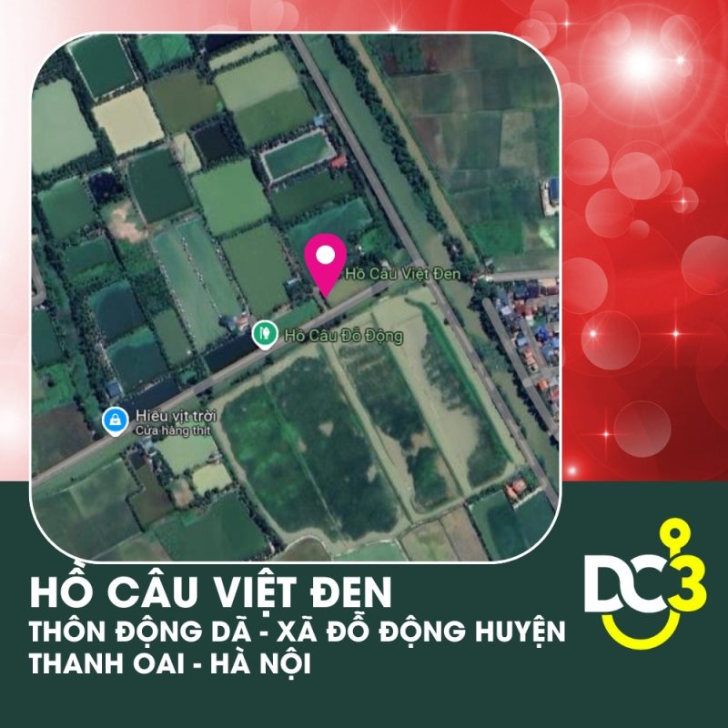 Vị trí Google Map - Hồ Câu Việt Đen