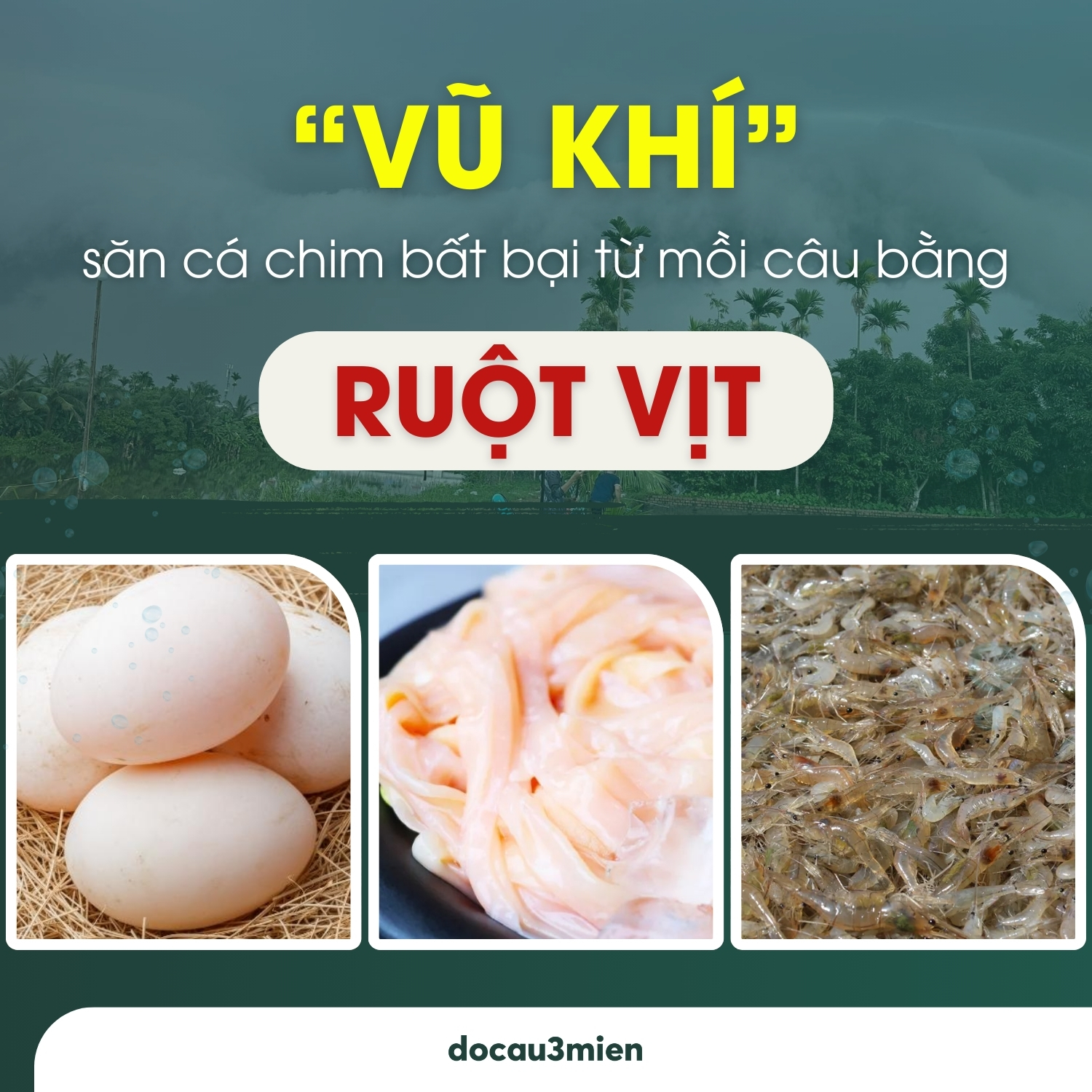 “Vũ khí” săn cá chim bất bại từ mồi câu cá chim bằng ruột vịt