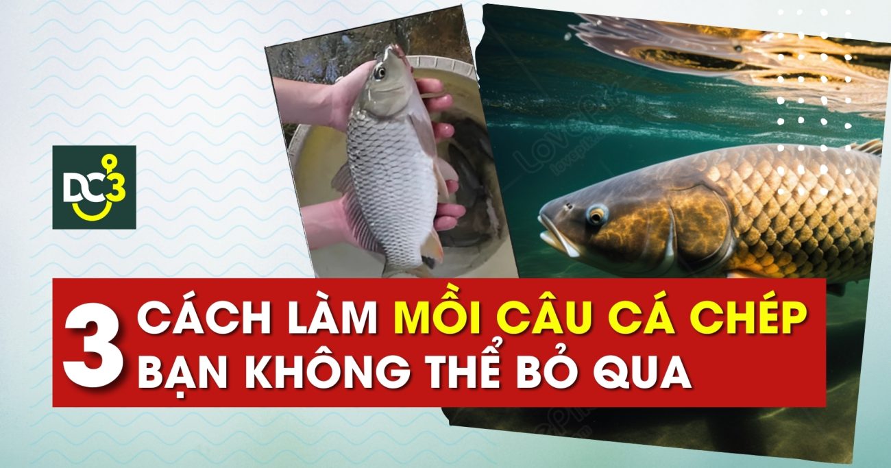 3 cách làm mồi câu cá chép bạn không thể bỏ qua