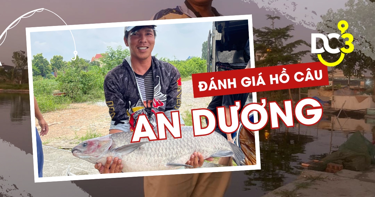 Đánh giá hồ câu dịch vụ An Dương