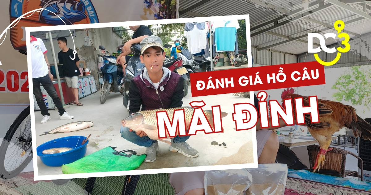 Đánh giá hồ câu dịch vụ Mãi Đỉnh