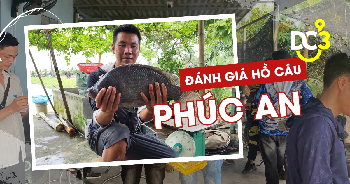 Đánh giá hồ câu dịch vụ Phúc An