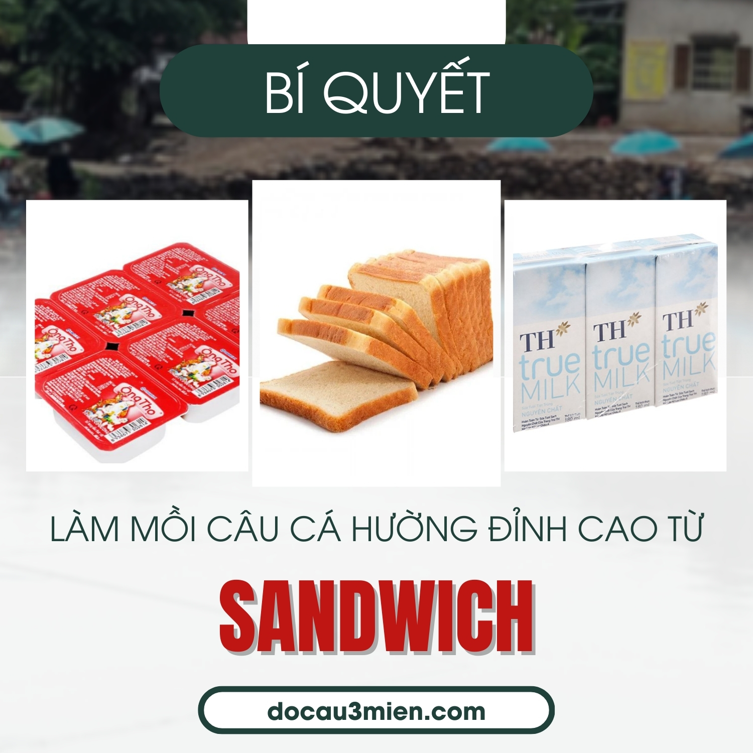 Bí quyết làm mồi câu cá hường đỉnh cao từ sandwich