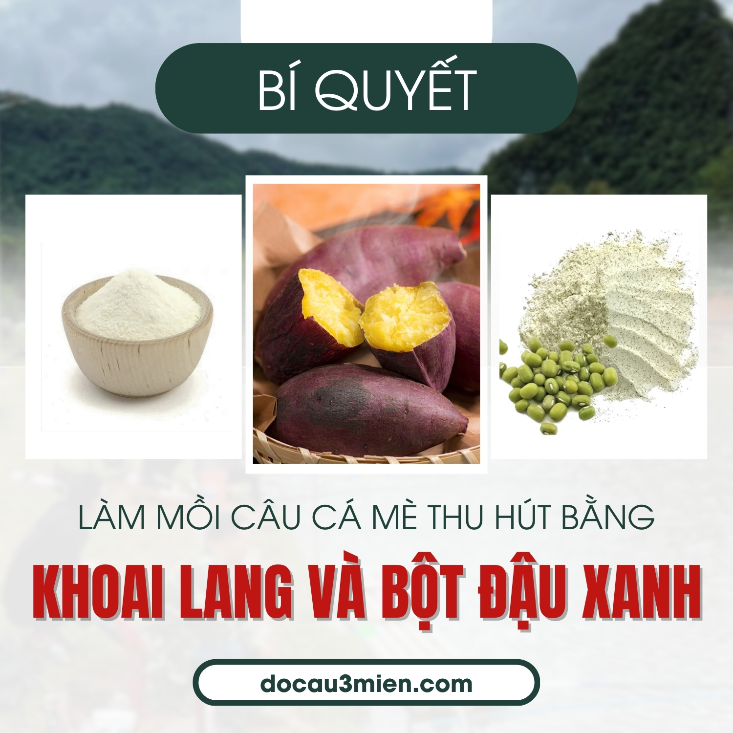 Bí quyết làm mồi câu cá mè thu hút bằng khoai lang và bột đậu xanh