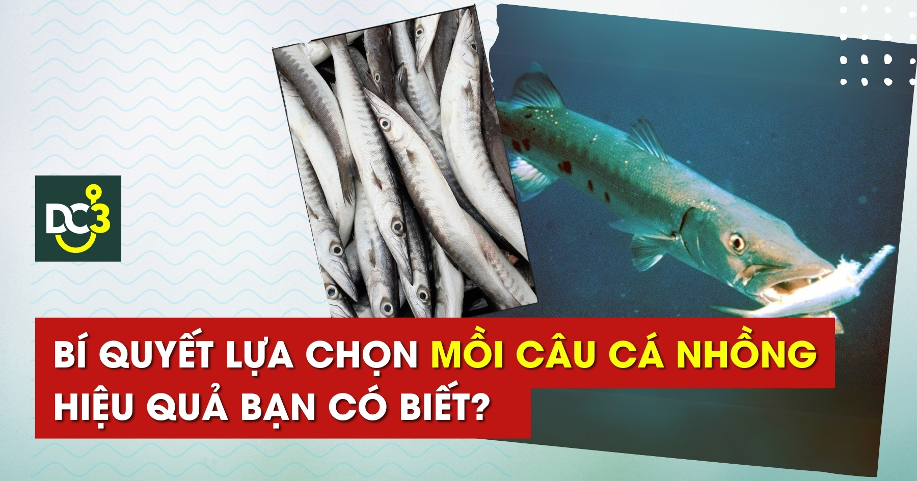 Bí quyết lựa chọn mồi câu cá nhồng hiệu quả bạn có biết?