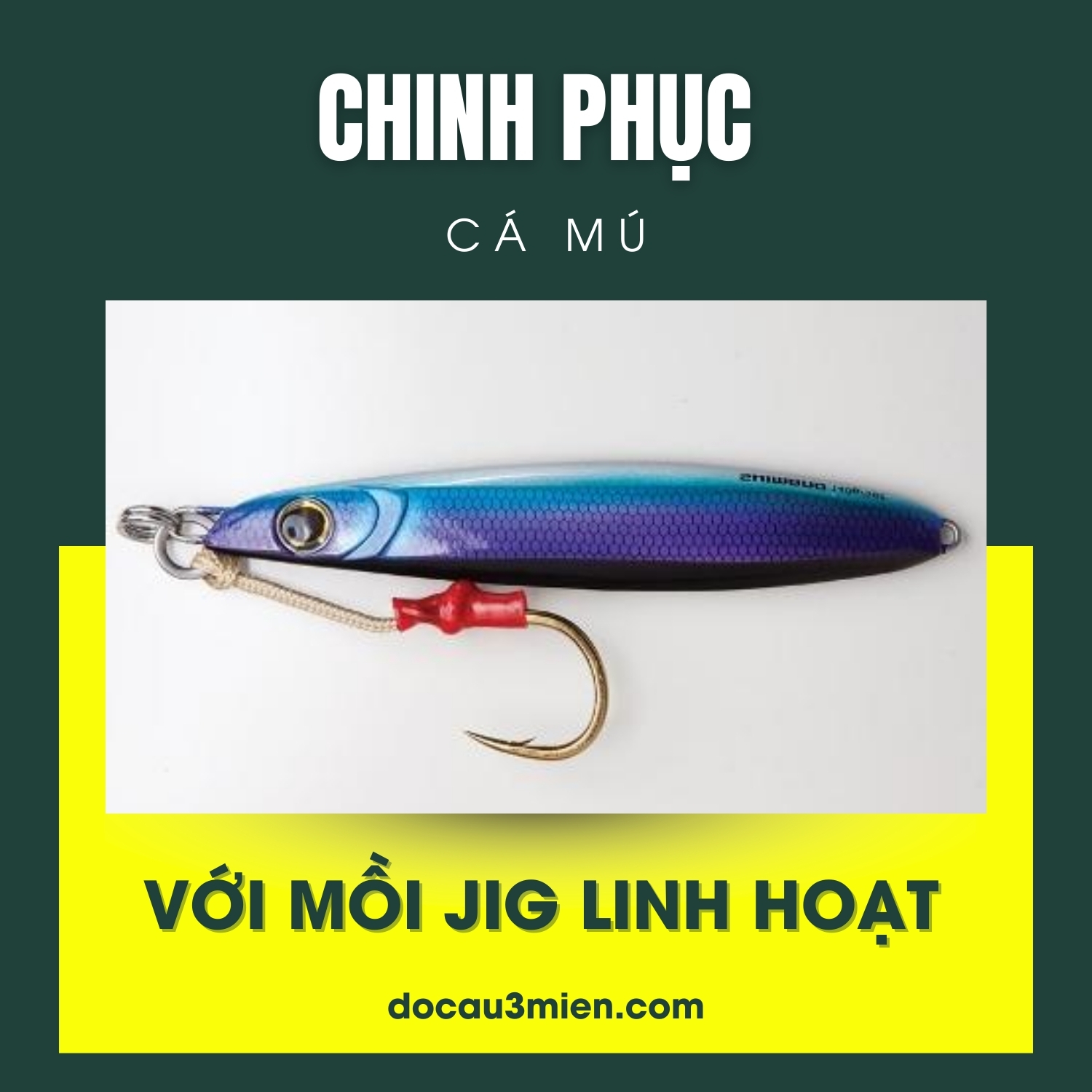  Chinh phục cá mú với mồi Jig linh hoạt