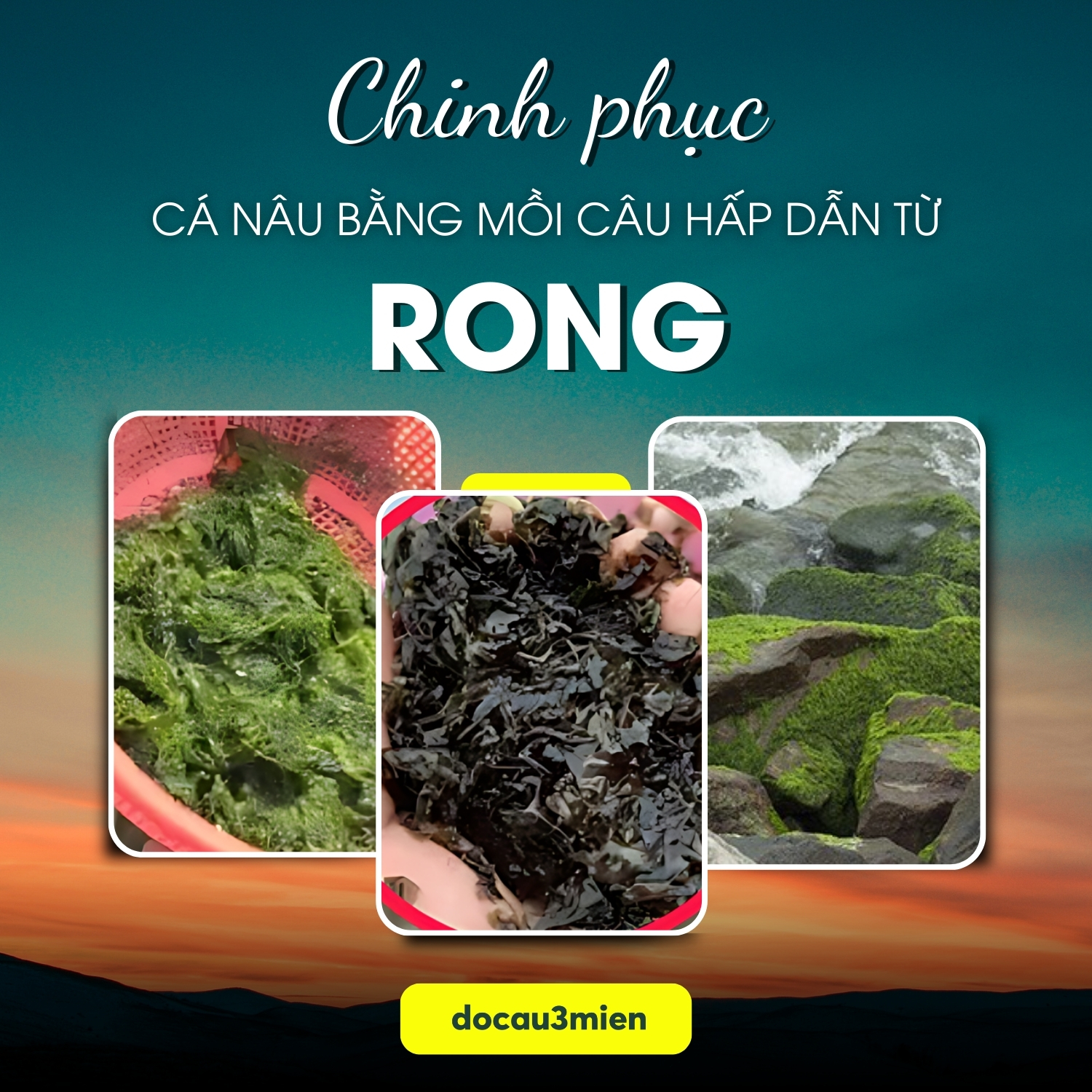 Chinh phục cá nâu bằng mồi câu hấp dẫn từ rong
