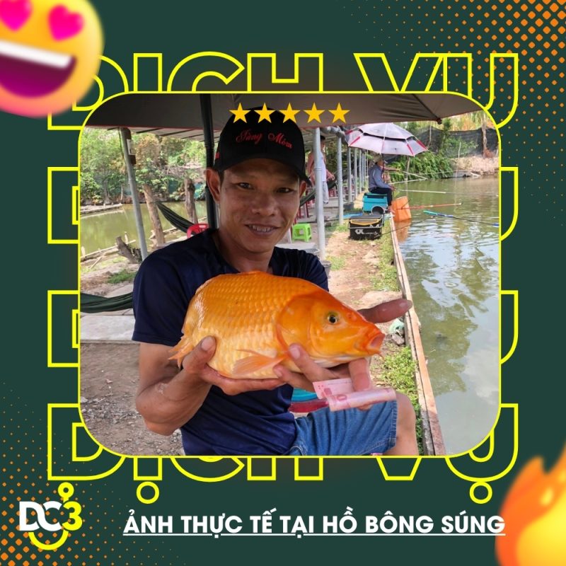 Dịch vụ tiện ích hồ câu Bông Súng