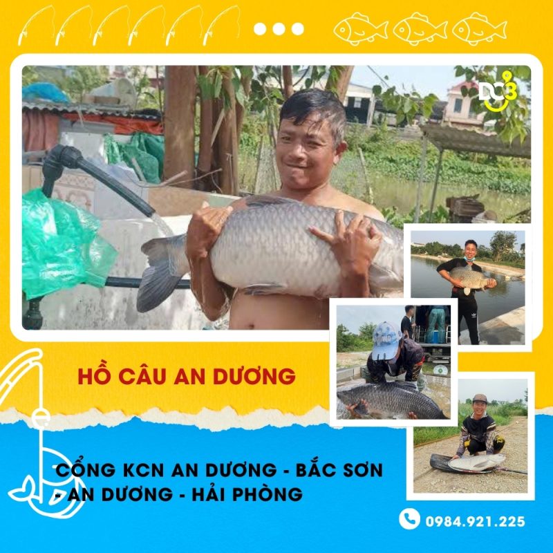 Giới thiệu hồ câu An Dương