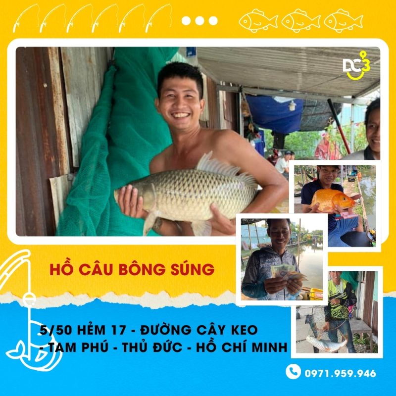 Giới thiệu hồ câu Bông Súng