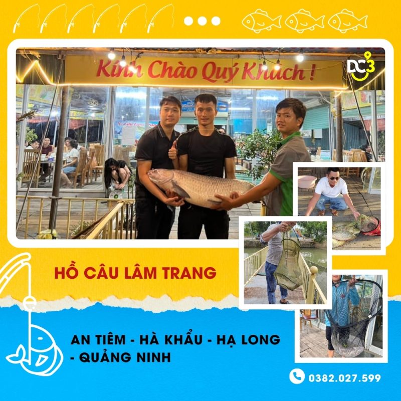 Giới thiệu hồ câu Lâm Trang