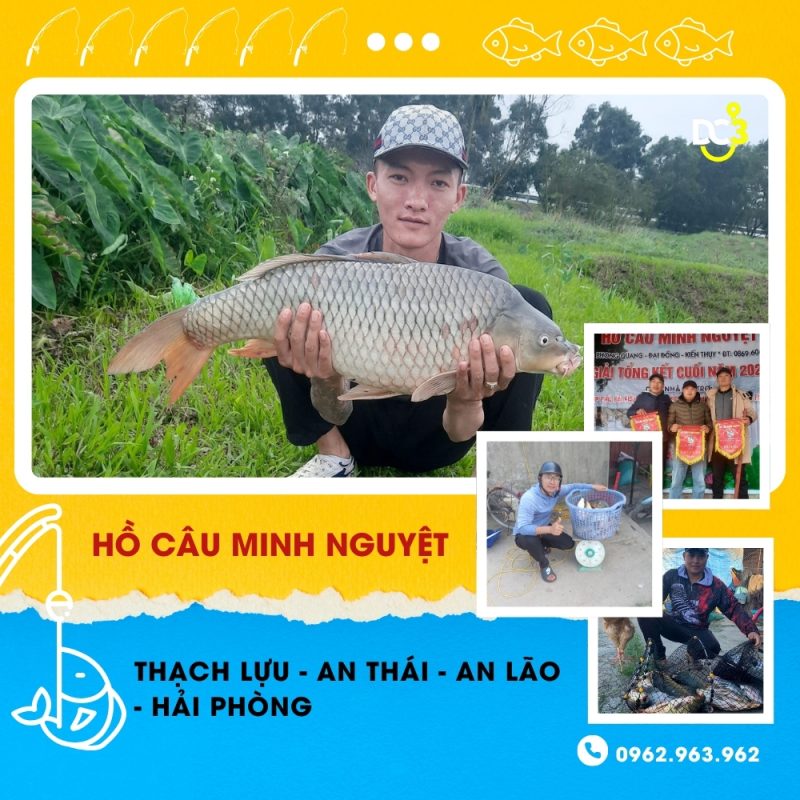 Giới thiệu hồ câu Minh Nguyệt