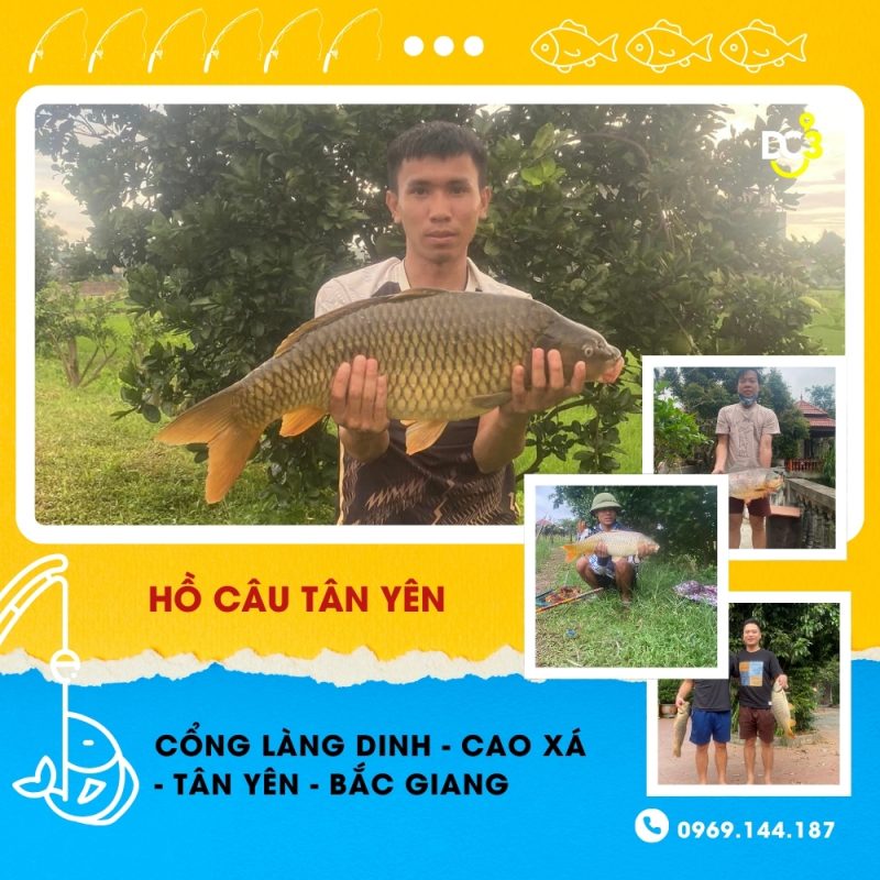 Giới thiệu hồ câu Tân Yên