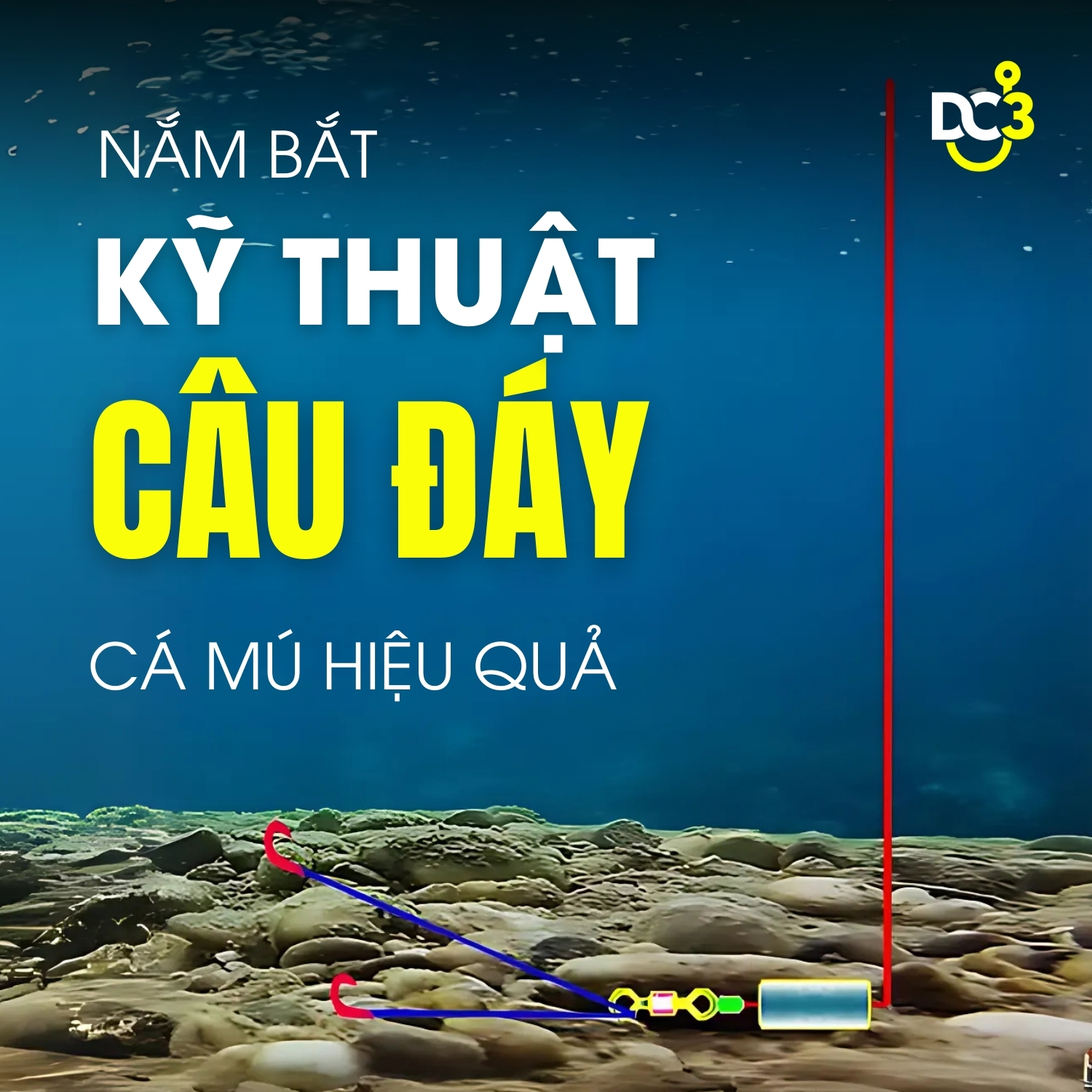 Nắm bắt kỹ thuật câu đáy cá mú hiệu quả