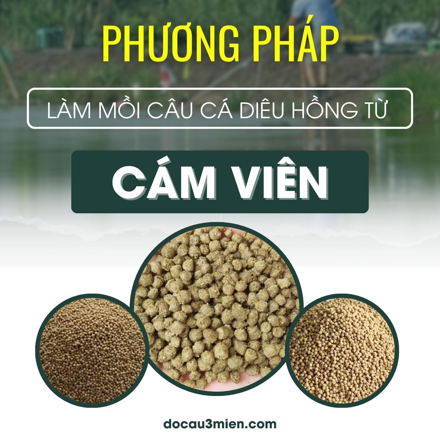 Phương pháp làm mồi câu cá diêu hồng từ cám viên