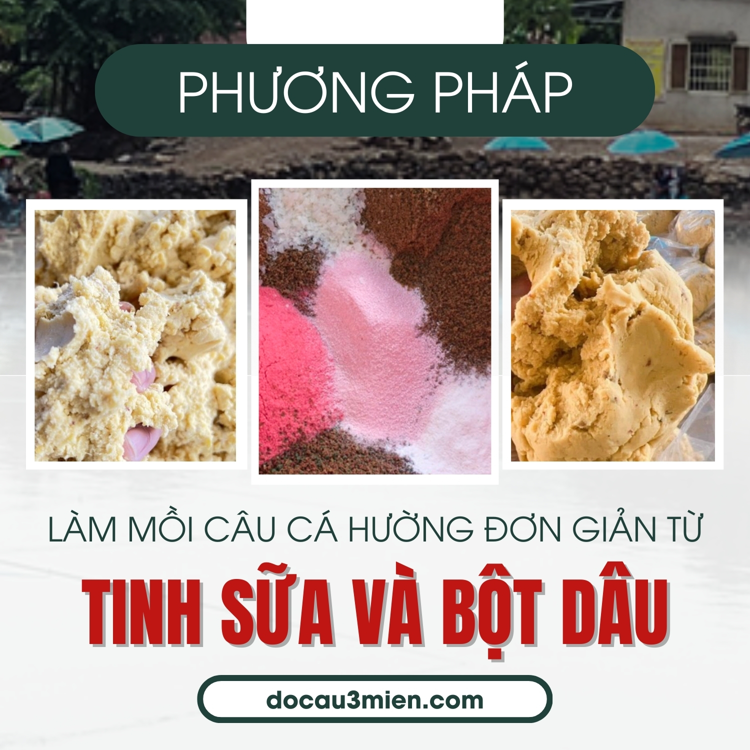 Phương pháp làm mồi câu cá hường đơn giản từ tinh sữa và bột dâu