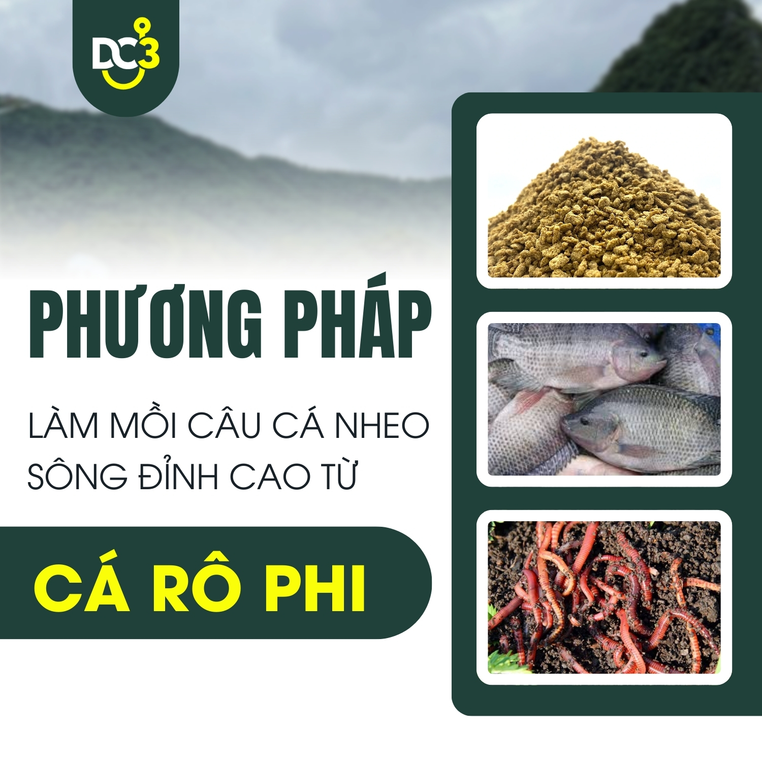 Phương pháp làm mồi câu cá nheo sông đỉnh cao từ cá rô phi