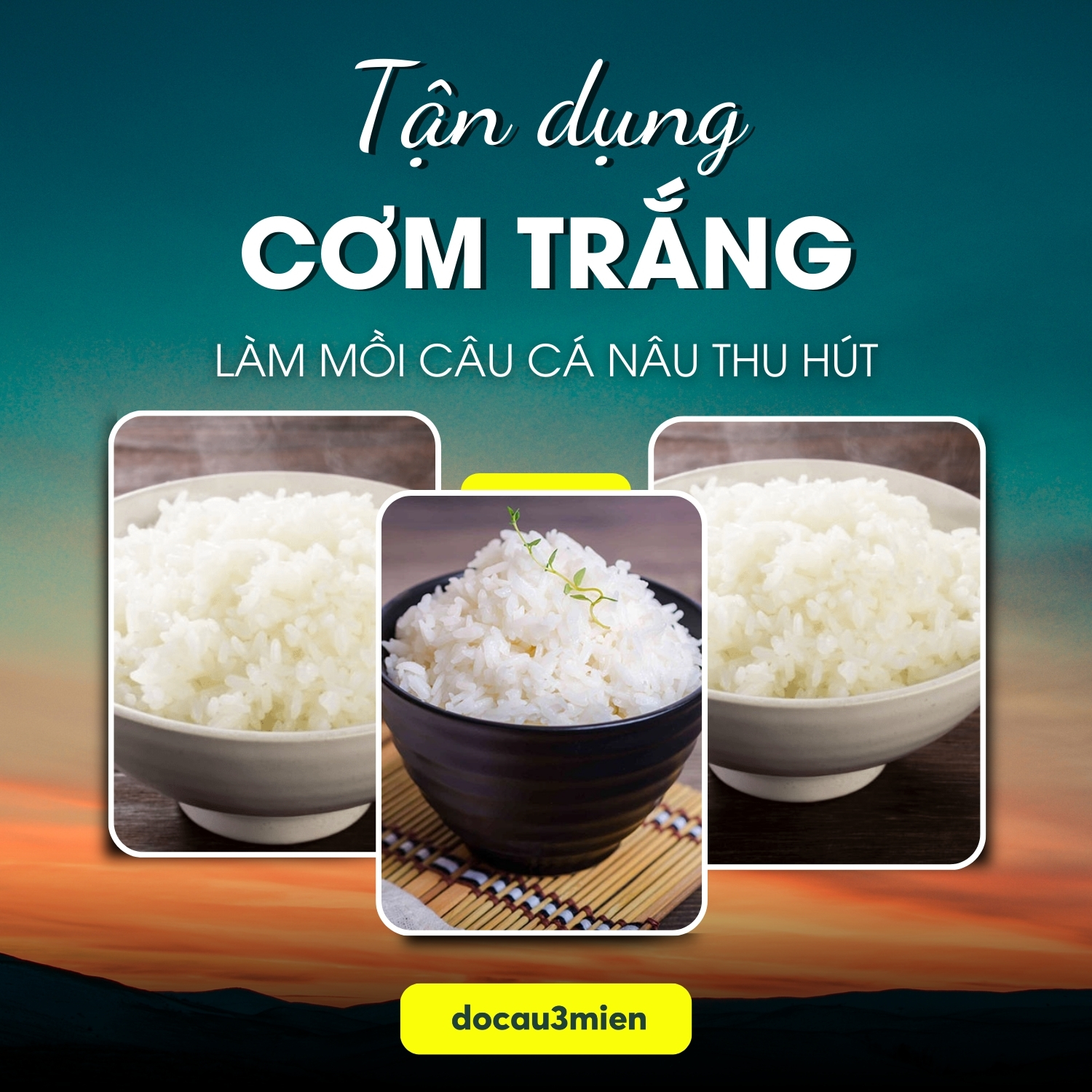 Tận dụng cơm trắng làm mồi câu cá nâu thu hút