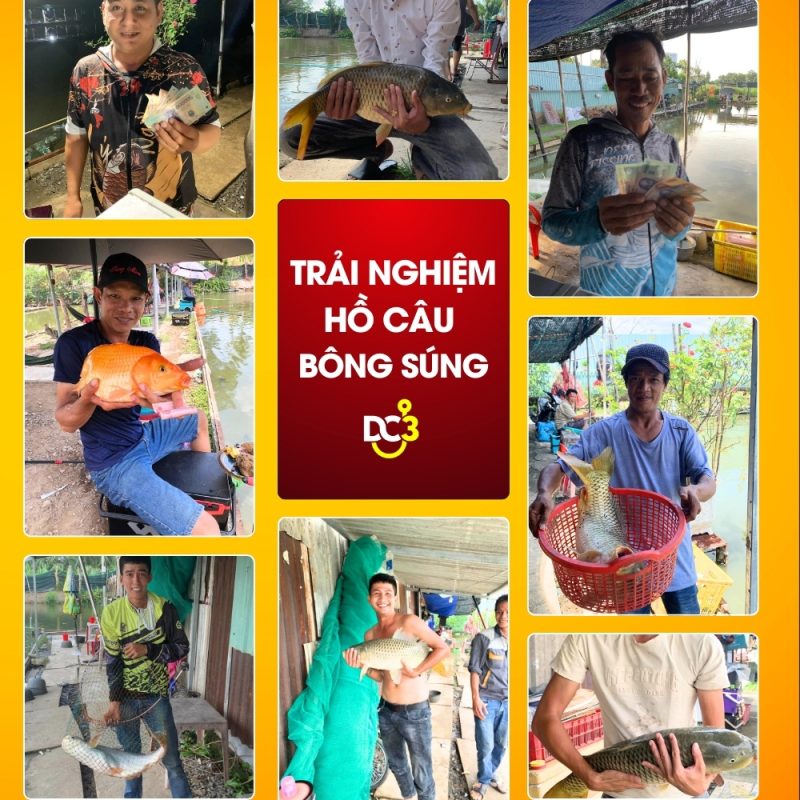 Trải nghiệm cần thủ hồ câu Bông Súng