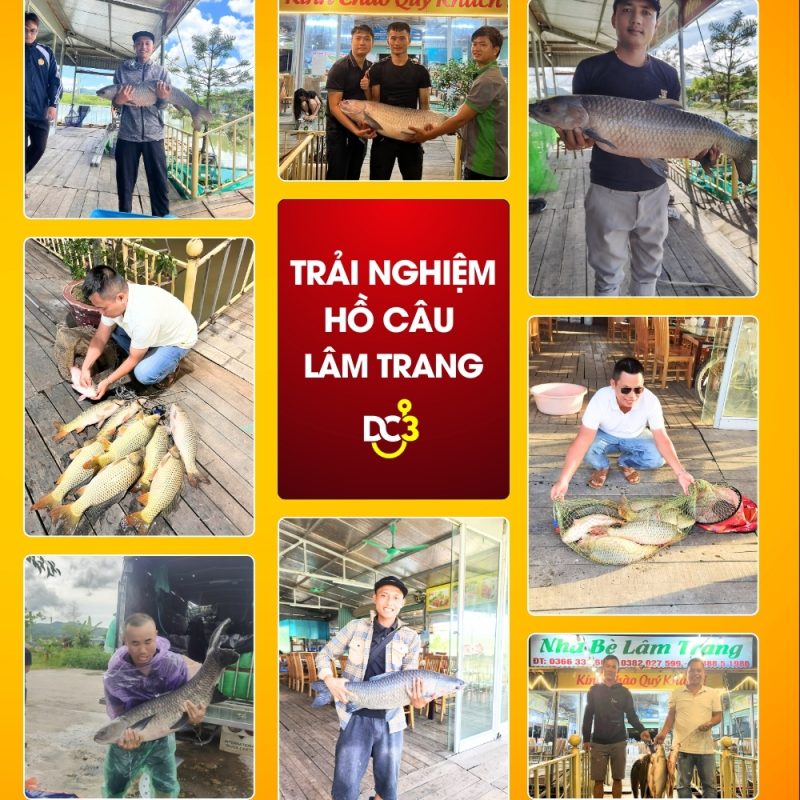 Trải nghiệm cần thủ hồ câu Lâm Trang