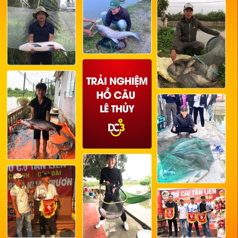 Trải nghiệm cần thủ hồ câu Lê Thủy