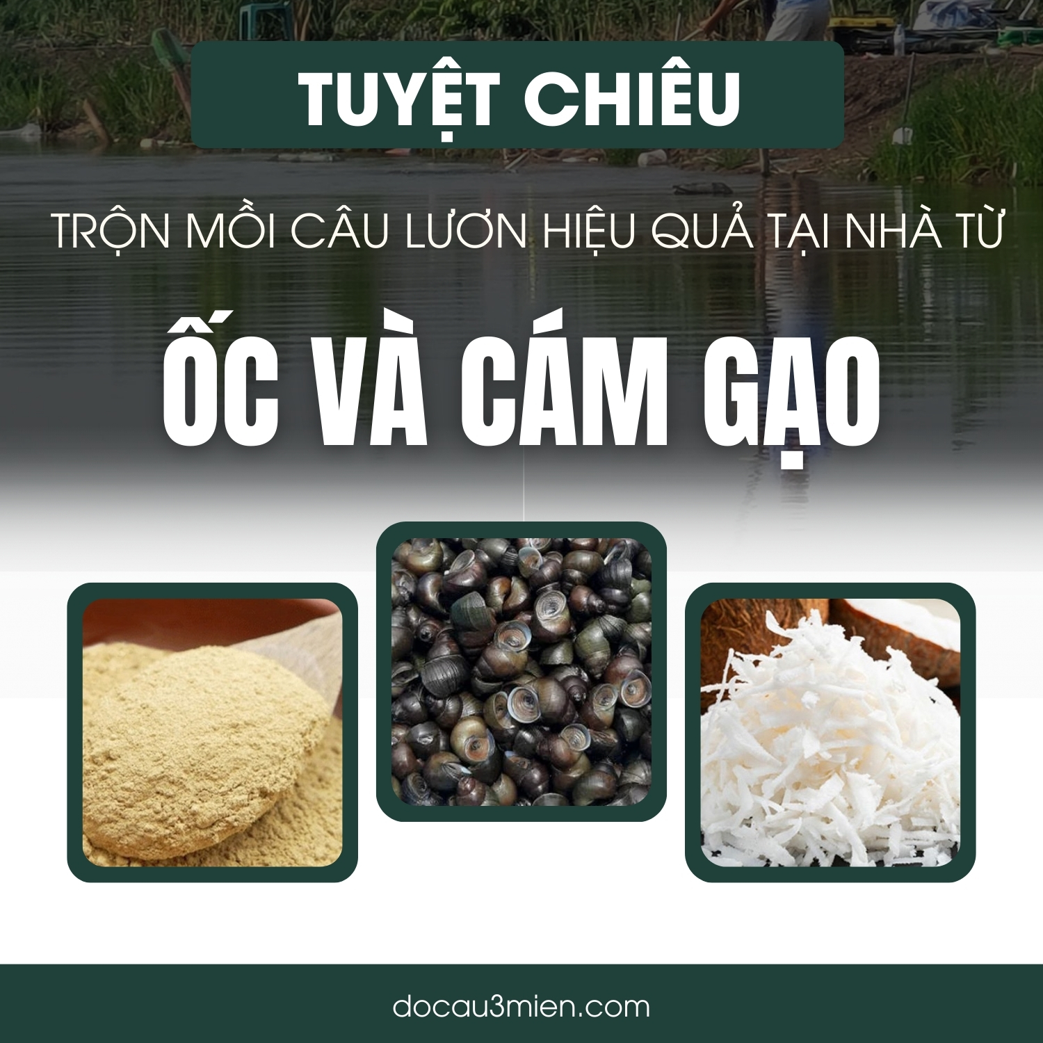 Tuyệt chiêu trộn mồi câu lươn hiệu quả tại nhà từ ốc và cám gạo