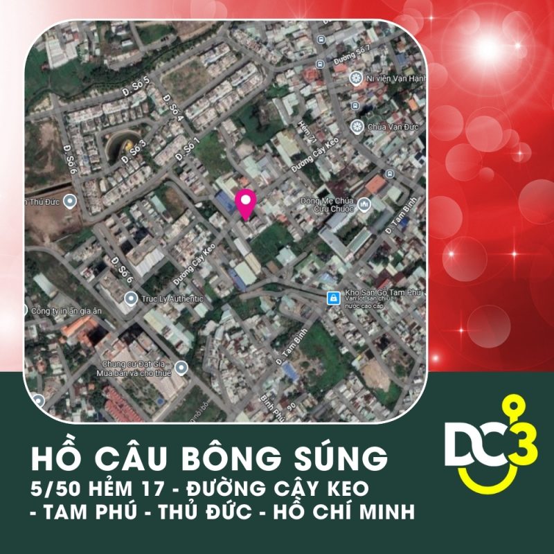 Vị trí Google Map - Hồ câu Bông Súng