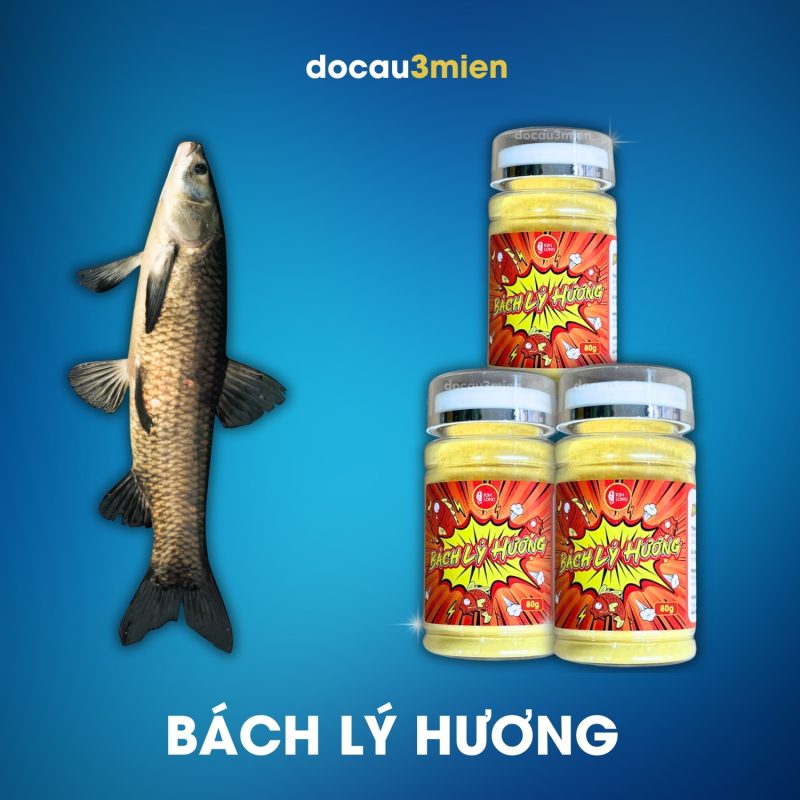 Bách Lý Hương Kim Long