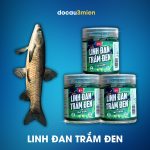 Hương liệu linh đan trắm đen Kim Long 19MM vị táo xanh