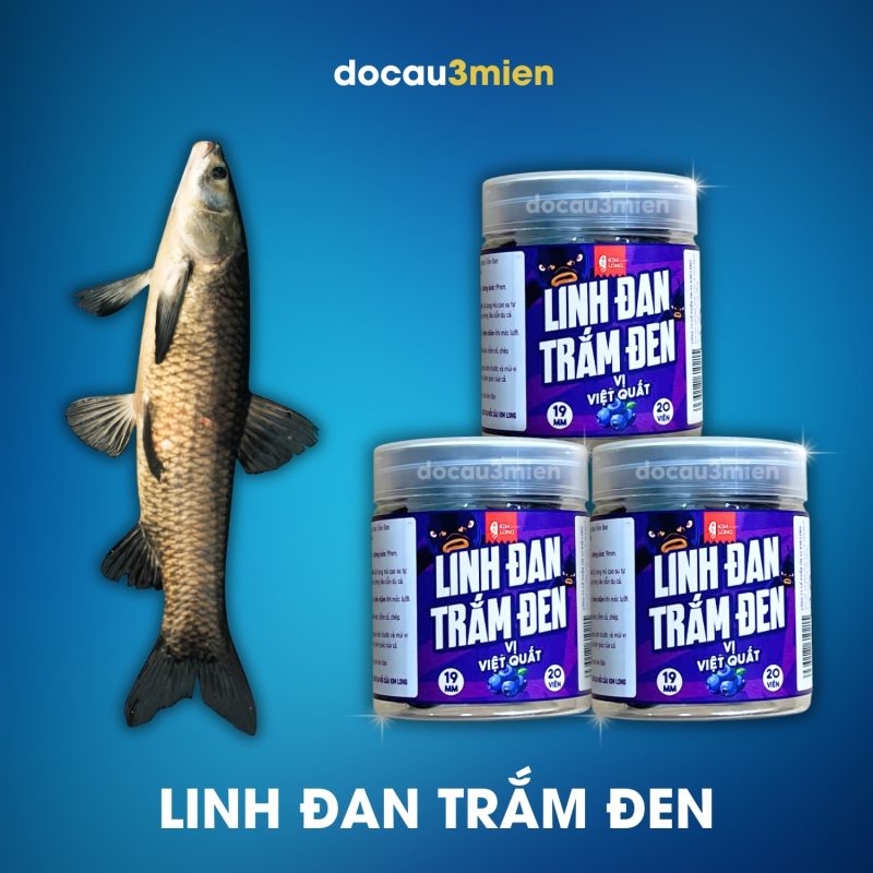 Hương liệu câu cá linh đan trắm đen Kim Long vị việt quất